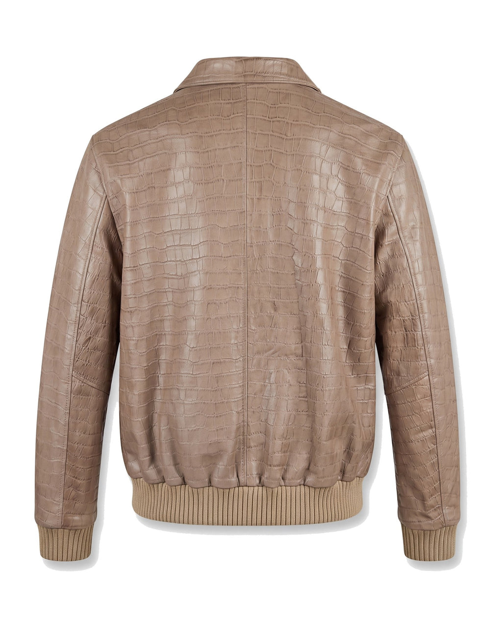 Sabbia Croco Bomber — back view